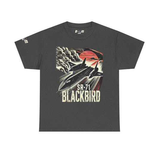 SR-71 Blackbird - SS - Front